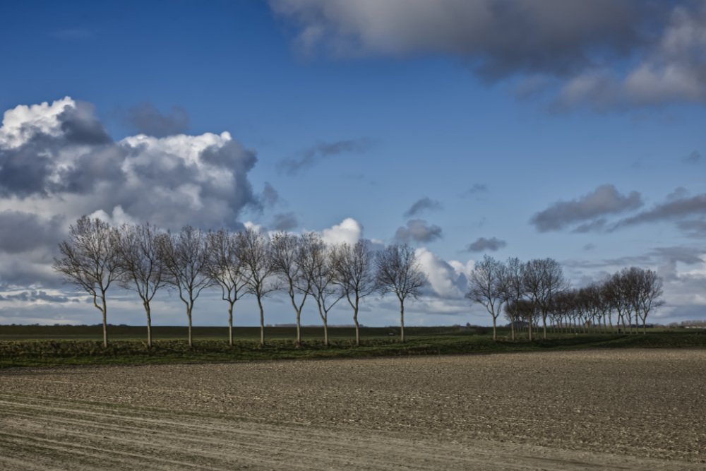 Landschapsfoto bij de Koudenhoek bij Goerdereede
