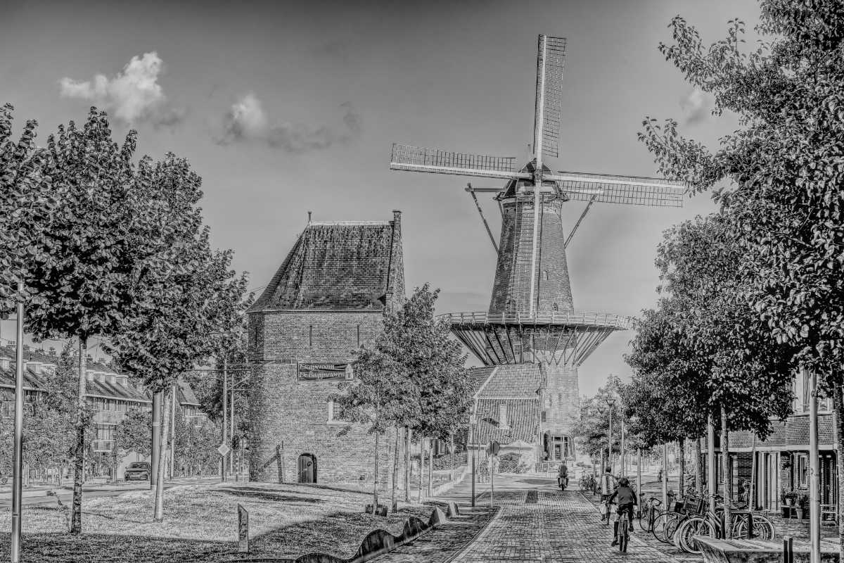 Molen de Roos in Delft