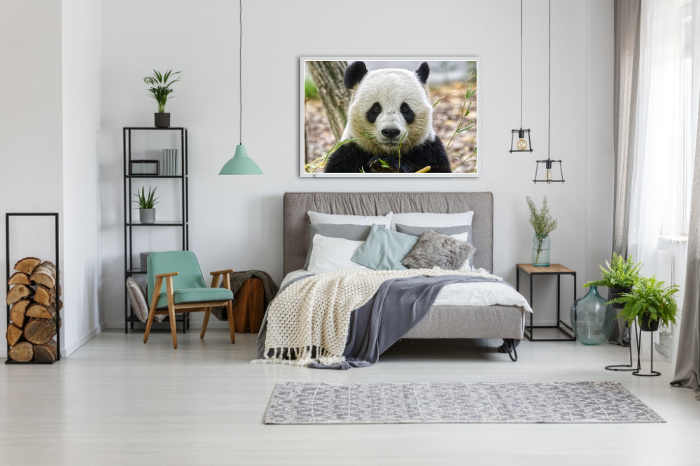 Portret Reuze Panda
