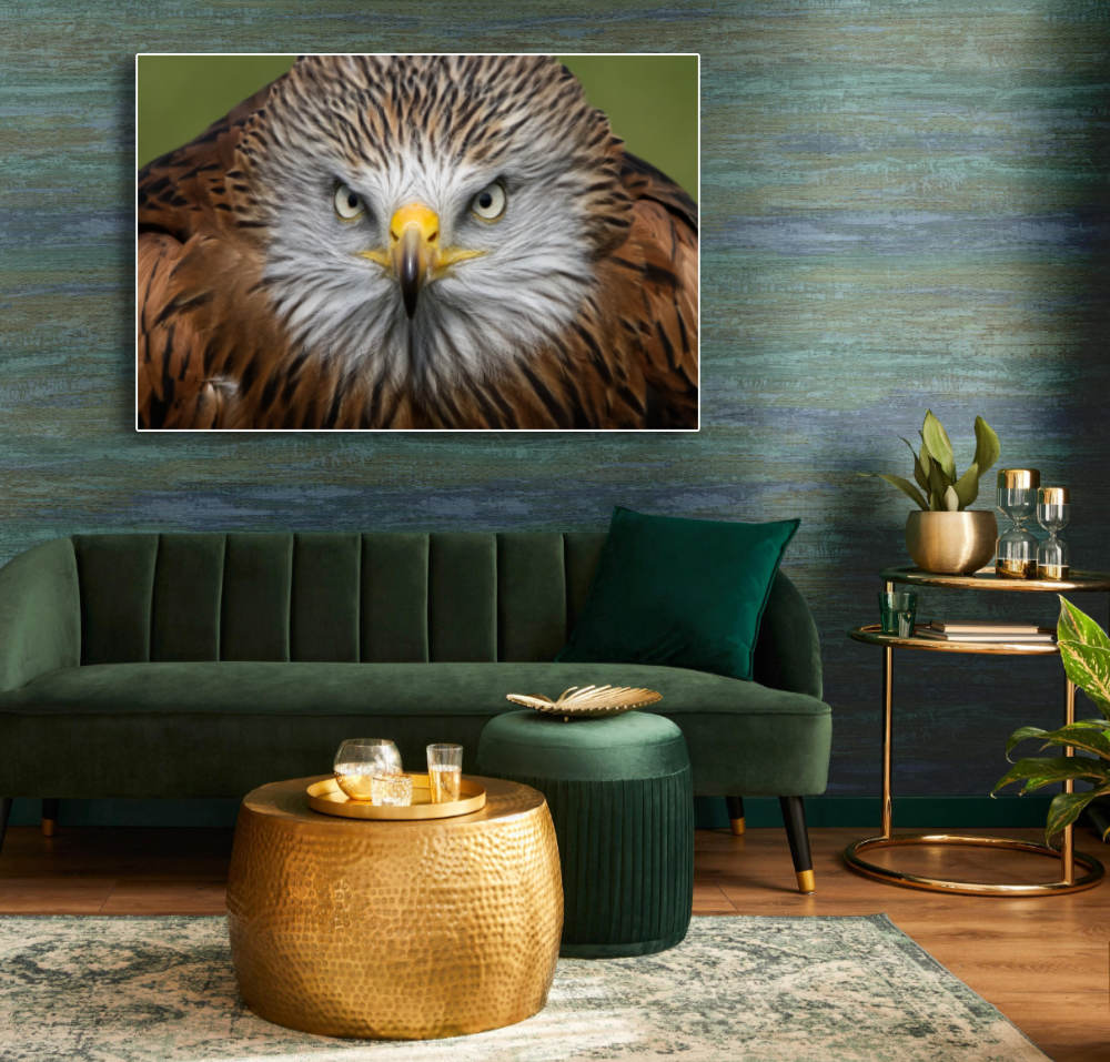https://www.werkaandemuur.nl/nl/shopwerk/Staredown