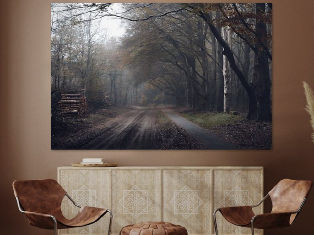 Herfst op de Veluwe